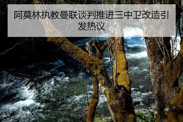 阿莫林执教曼联谈判推进三中卫改造引发热议