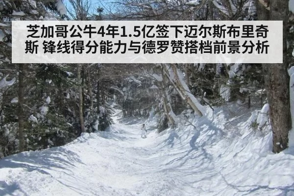 芝加哥公牛4年1.5亿签下迈尔斯布里奇斯 锋线得分能力与德罗赞搭档前景分析