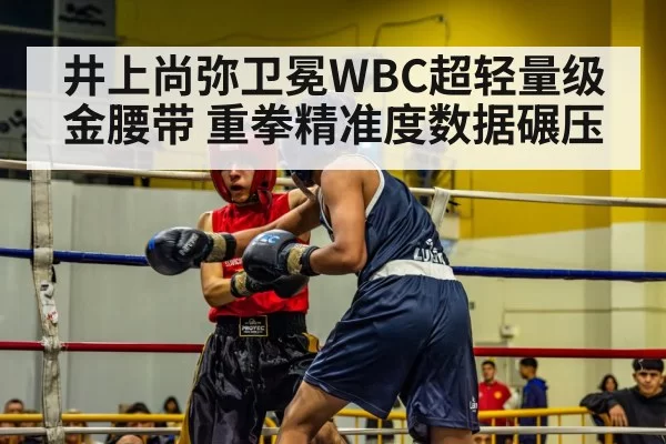 井上尚弥卫冕WBC超轻量级金腰带 重拳精准度数据碾压