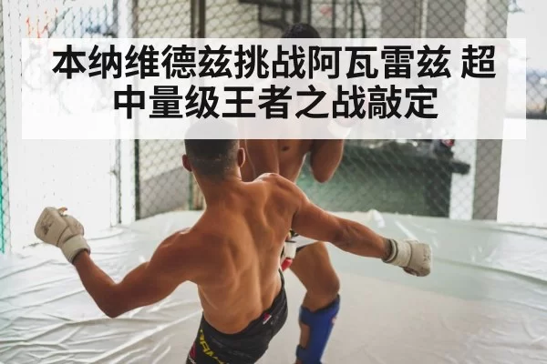 本纳维德兹挑战阿瓦雷兹 超中量级王者之战敲定