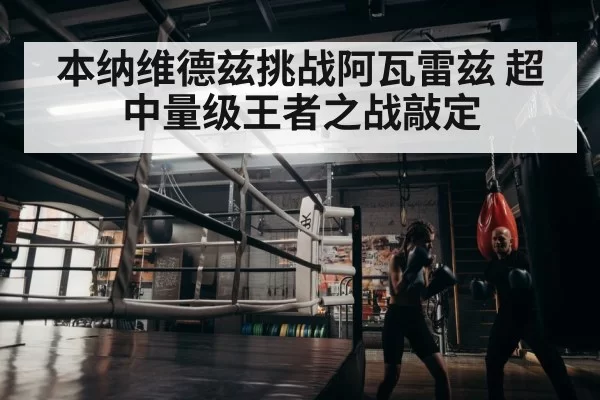 boxer training