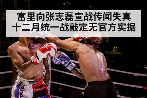 boxer punch